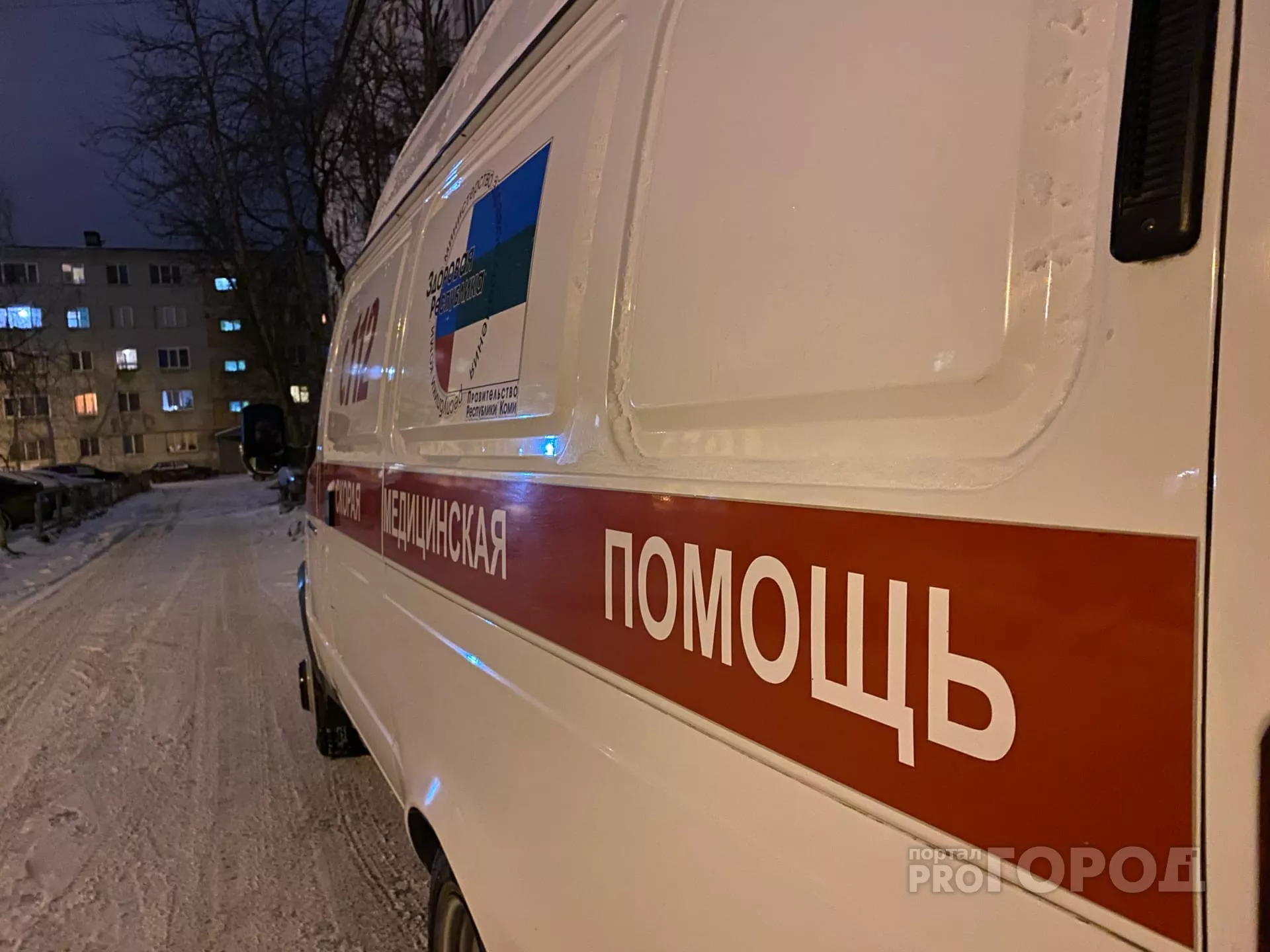 Фото к статье: Еще одна девушка едва не погибла от нападения безнадзорных собак в Ухте