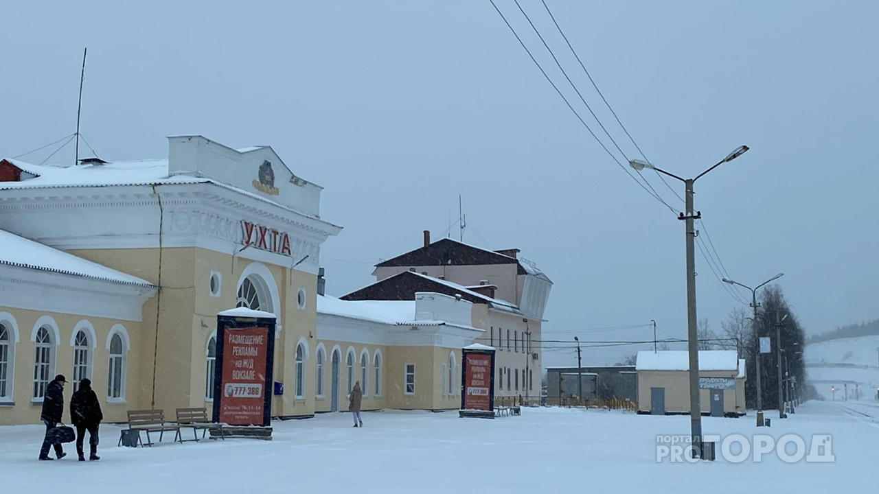 Железнодорожные вокзалы Ухты и Сосногорска избавят от крыс и тараканов