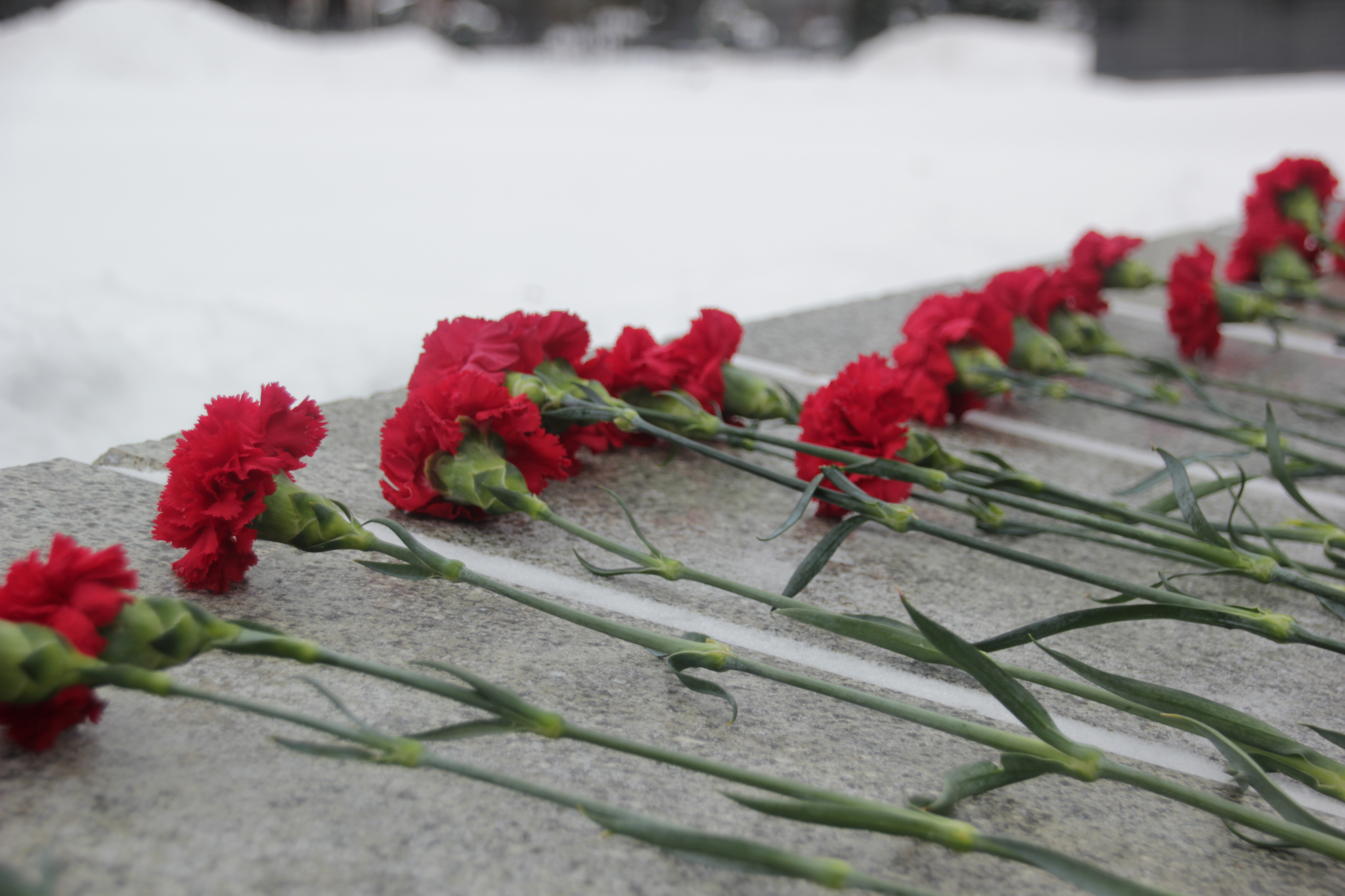 Несломленные под натиском врага: 77 лет со дня снятия блокады Ленинграда