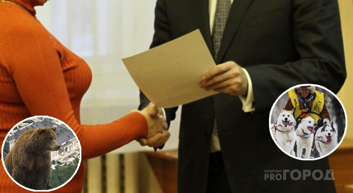 Трасса для собак или дворец для медведя?