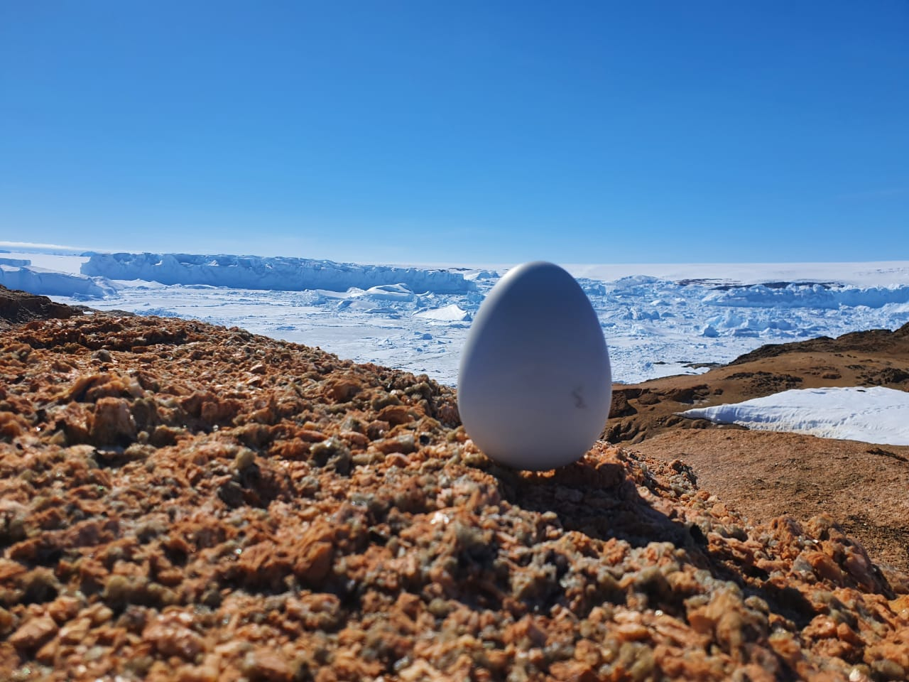 Арктические технологии помогли обеспечить интернетом вещей Антарктику