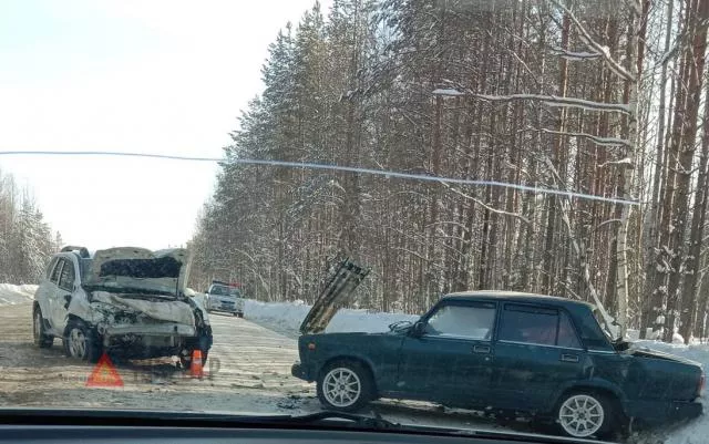 Фото к статье: Пострадавшая в страшном ДТП под Сосногорском маленькая девочка до сих пор лежит в коме