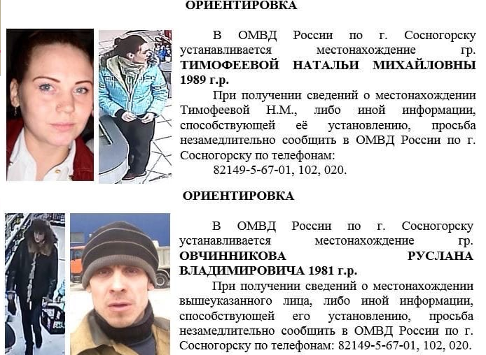Живым или мертвым: Сосногорская полиция продолжает поиск воришек