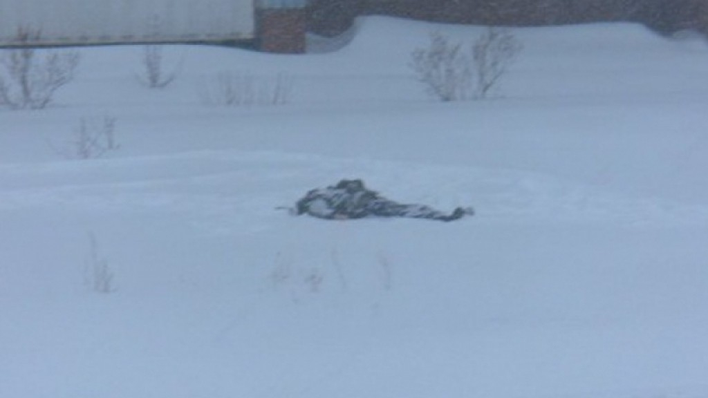 Двое мужчин и женщина в Коми замерзли насмерть, несмотря на теплую погоду