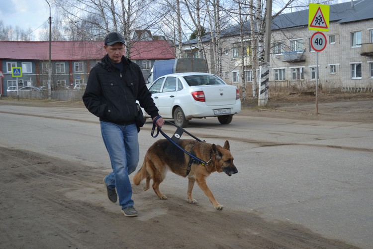В Коми собака-поводырь вернула незрячему любовь к жизни