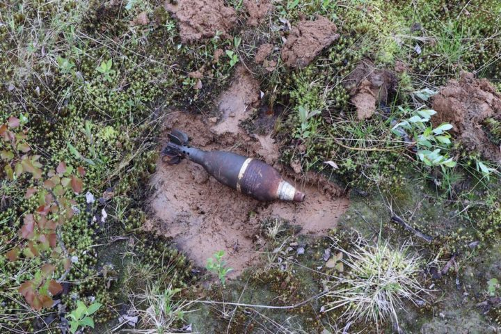 В Коми взрывотехники выезжали к жителю на дачу после сообщения о боевой мине
