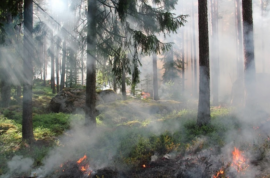 В Ухте введен особый противопожарный режим перед изменениями температуры воздуха