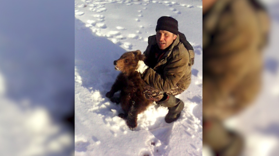 В Башкирии осиротевший медвежонок пришел за помощью к людям