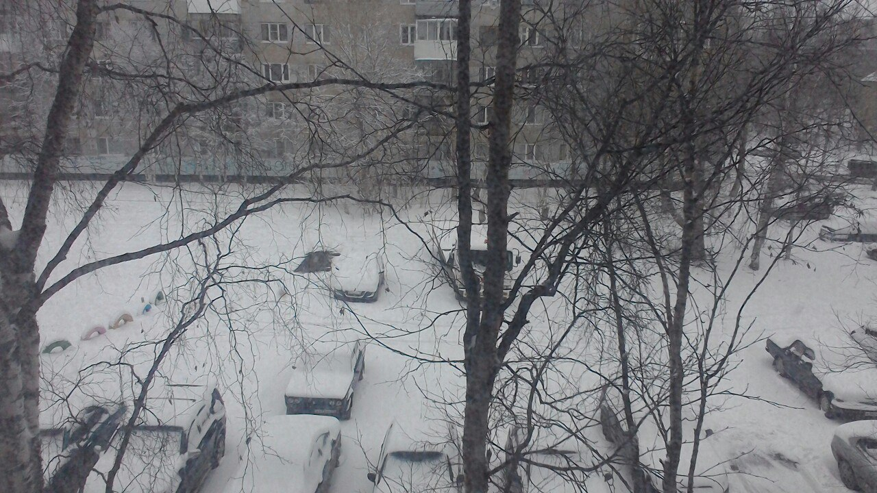 Ухту засыпало снегом: подборка фото из соцсетей