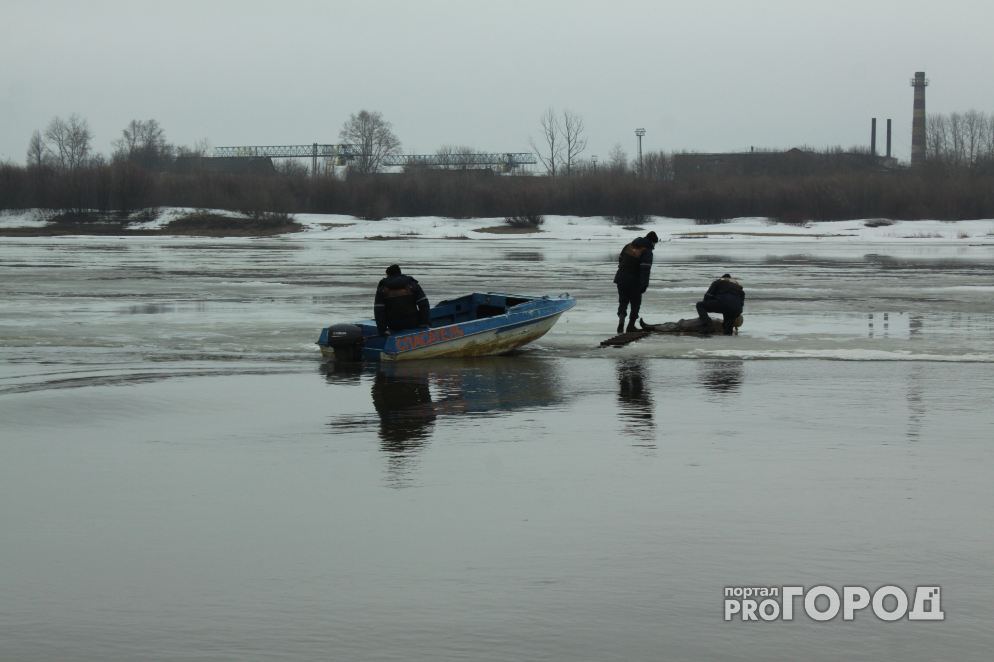 В Сосногорском районе охотник утонул вместе с собакой