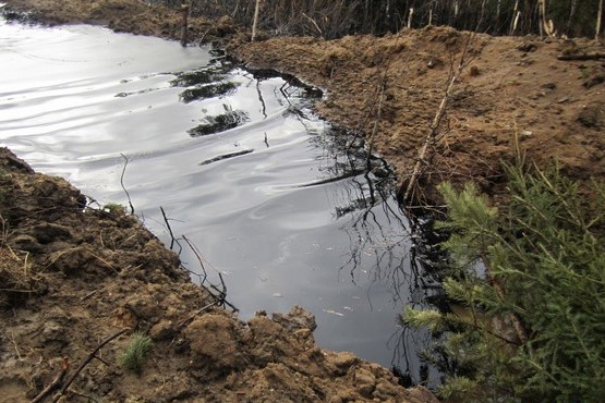 В Сосногорском районе произошла утечка нефти