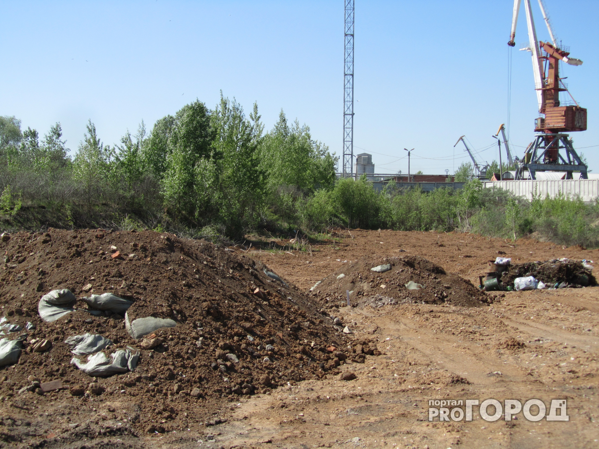 В некоторых районах Коми почва загрязнена тяжелыми металлами