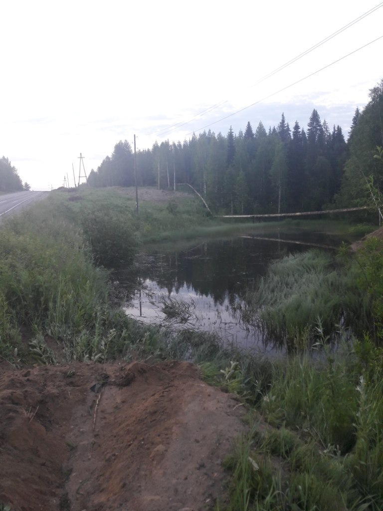 Ухтинец утопил свою иномарку в болоте