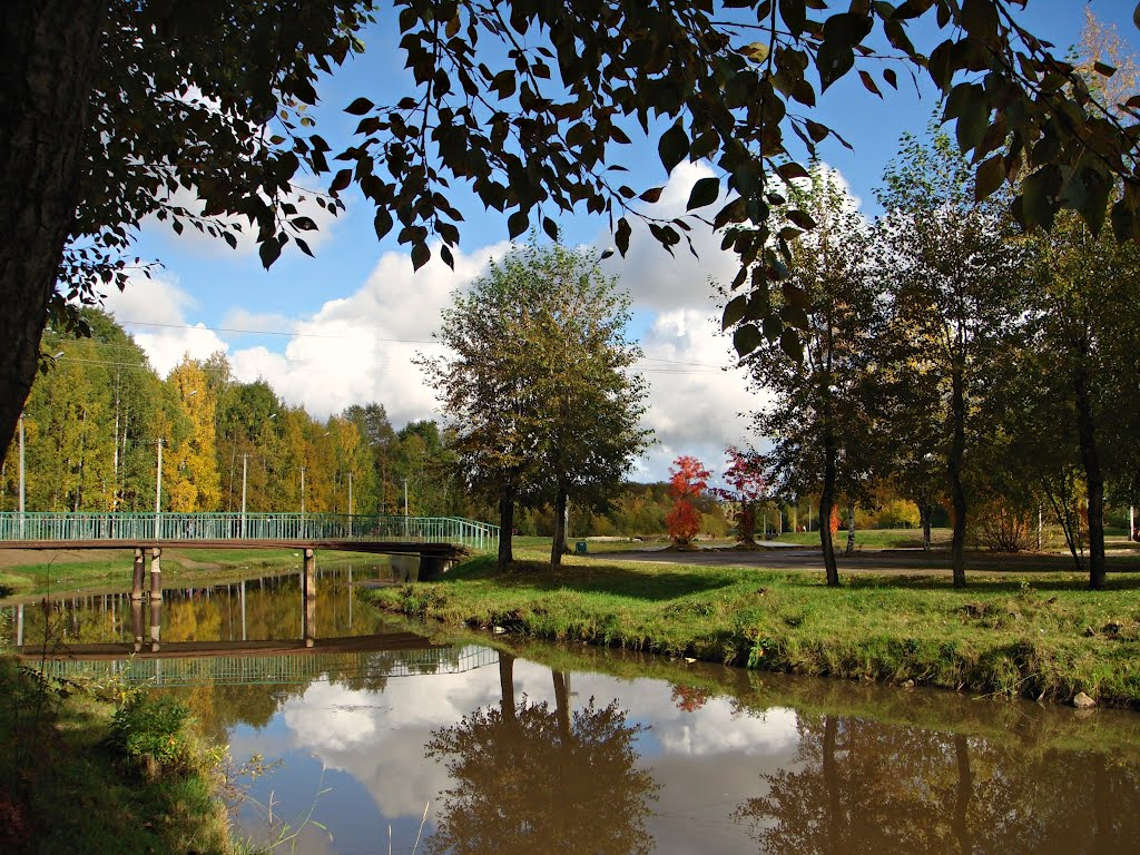Во взрослом парке Ухты появится озеро