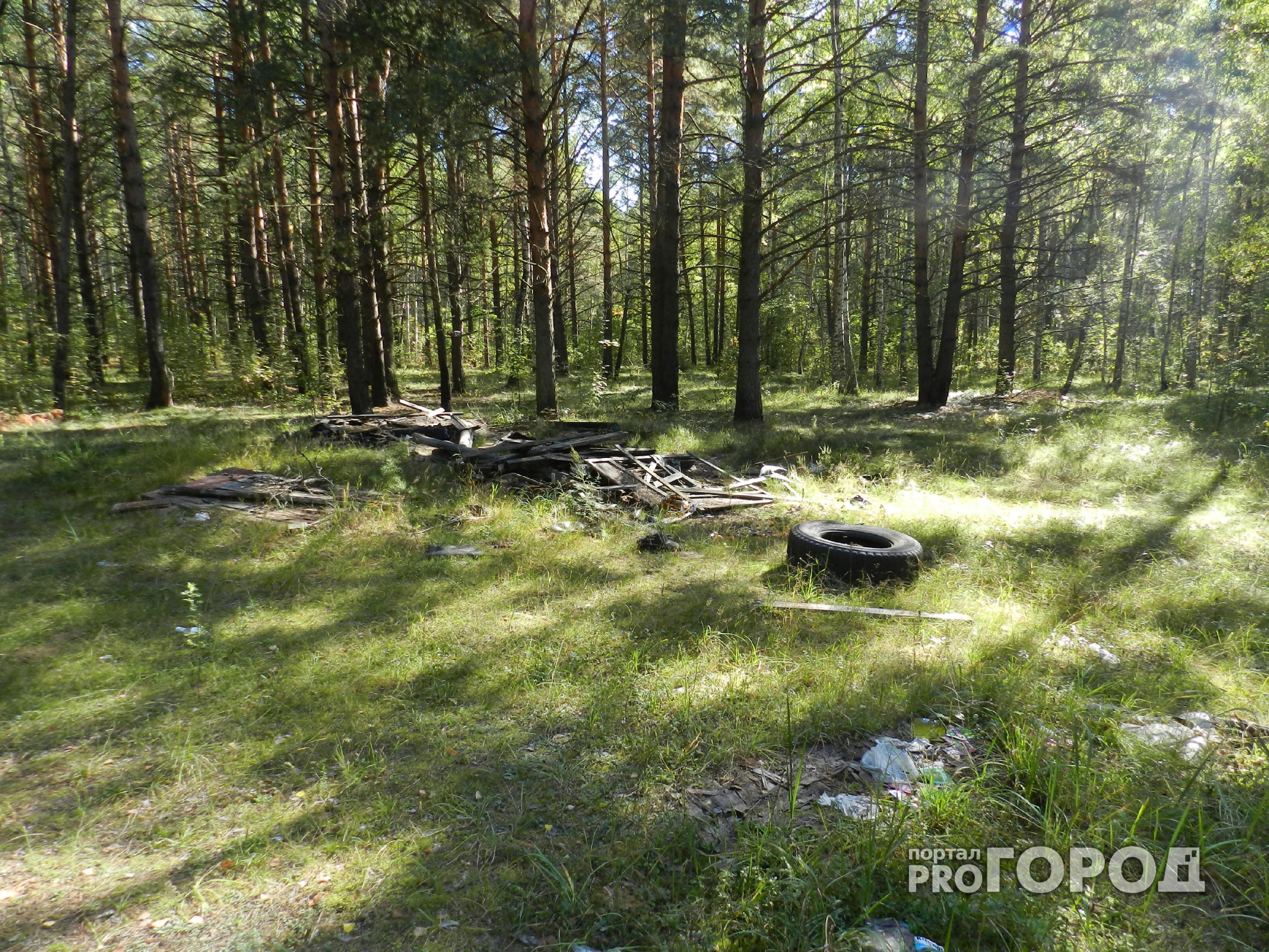 В Сосногорске пьяный мужчина потерял 10-летнего сына в лесу