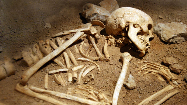 На Печоре нашли части скелета человека