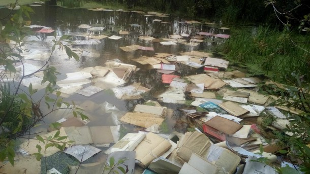 В Коми в ручей выбросили гору документов