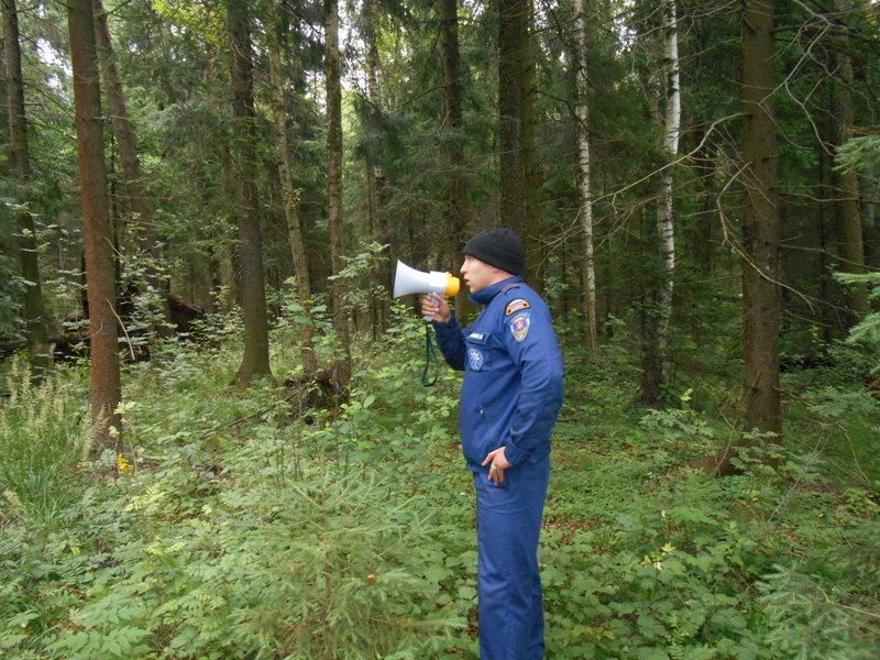 В лесах Коми 5 дней ищут слабовидящего: нашли только телефон