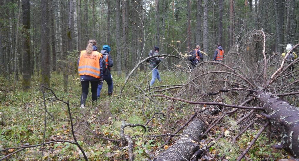 Ухтинец потерял супругу, вызвал спасателей и сам потерялся в лесу