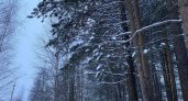 Синоптики предупреждают: В Коми ожидаются сильные морозы