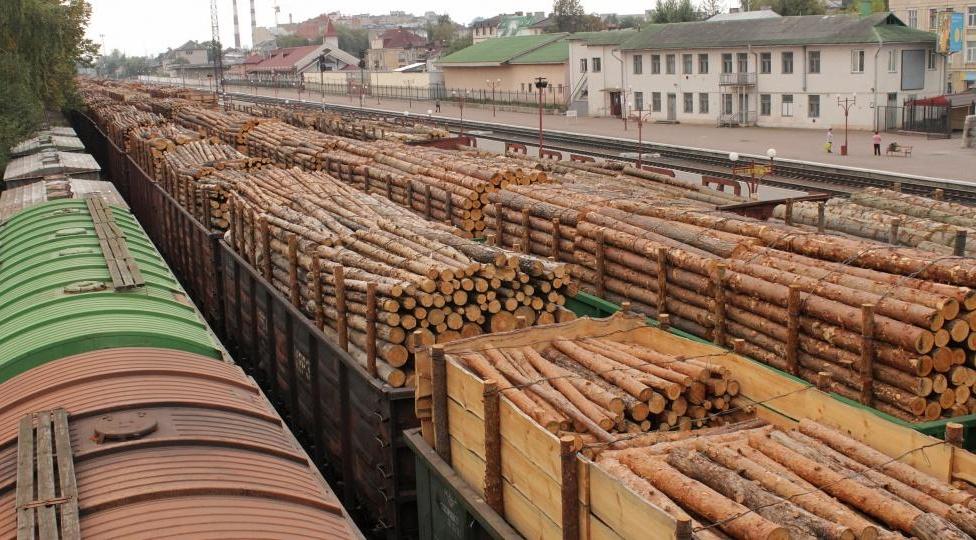 В Коми будут добывать больше полезных ископаемых и еще больше вывозить леса