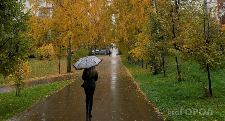 Синоптики рассказали какая будет погода в Коми и в Ухте