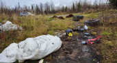 "Более 150 тонн отходов": в Коми убирают мусор всей страной