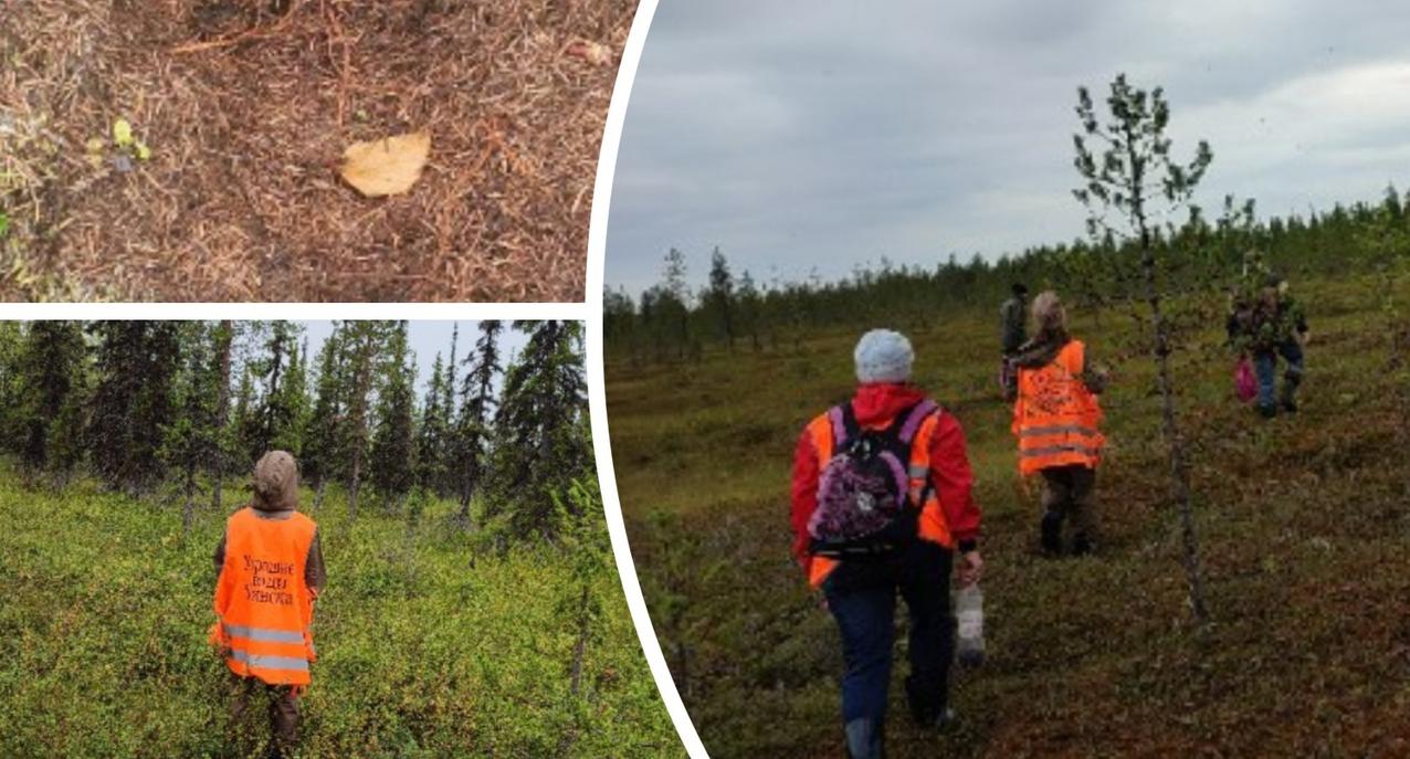 «Нашли благодаря носку»: волонтеры рассказали, как искали пропавшего в Коми мужчину