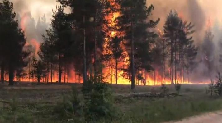 В Ухтинском и Сосногорском районе бушуют лесные пожары