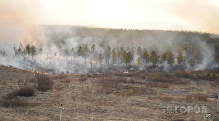 На территории Коми бушуют лесные пожары