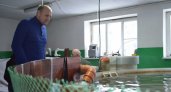 Молодой фермер из Коми планирует увеличить производство форели до 8-10 тонн в год