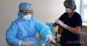 В Коми за сутки коронавирусом заразились 83 человека