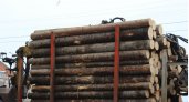 Россия перестает поставлять древесное сырье в Европу