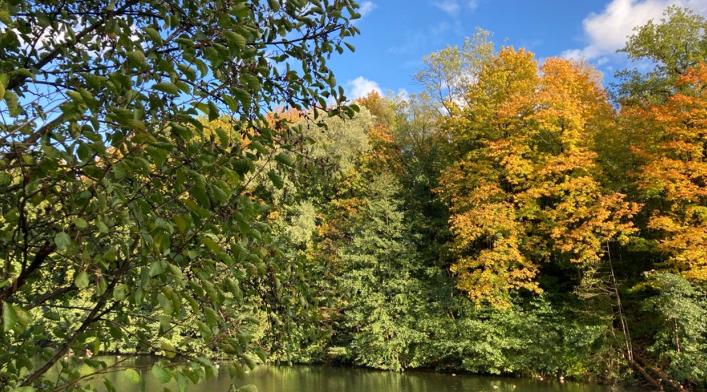 Погода порадует Ухту на следующей неделе