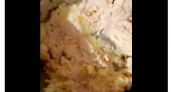 В Коми безумная-мать кормила свою 4-летнюю дочку кашей с тараканами