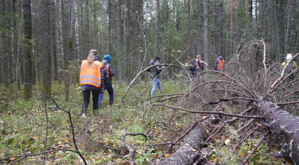 Под Сосногорском мужчина вышел из дома и не вернулся. Найти его не могут уже три недели