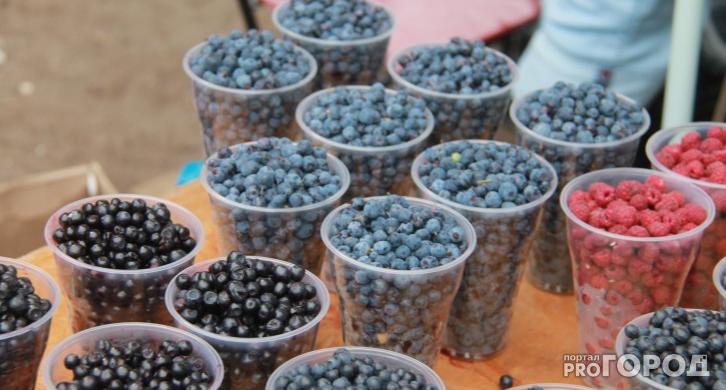 Как жители обычные жители Коми зарабатывают до 4 тысяч рублей в день