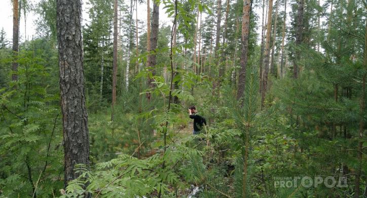 В Сосногорске спасатели вывели из леса женщину, которая сбежала от троих мужчин
