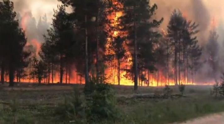 "МЧС призывает не ходить в лес!": в 6 районах Коми беспощадно горят леса