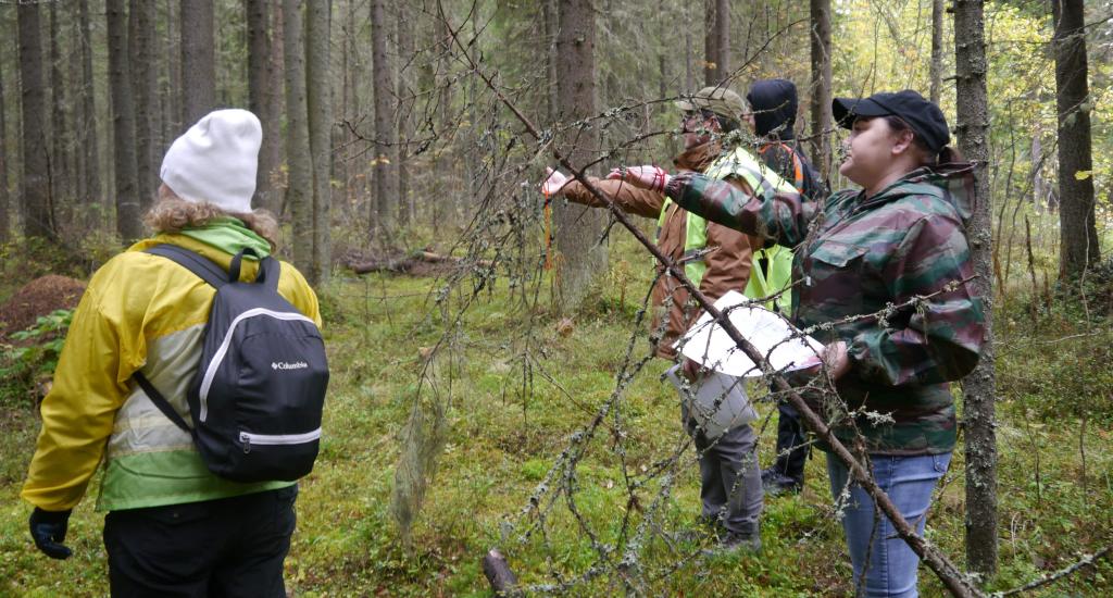 Ухтинцев просят о помощи. В городе пропал мужчина
