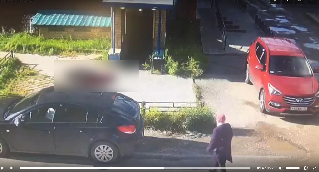 "Мы потеряли члена семьи!": стали известны подробности громкого убийства в Ухте