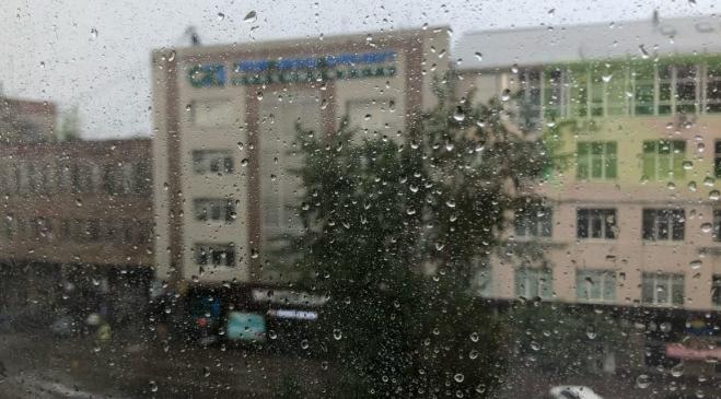 В Коми и в Ухте прогнозируется жуткий ветер и дожди