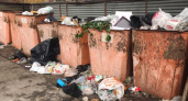 "Прямо как в Европе!": в Коми могут начать сортировать и перерабатывать весь мусор