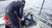 "Загадочное убийство?!" В Ухте нашли труп мужчины в моторной лодке