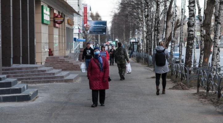 В Коми ввели штрафы за выгул домашних животных на общественных территориях