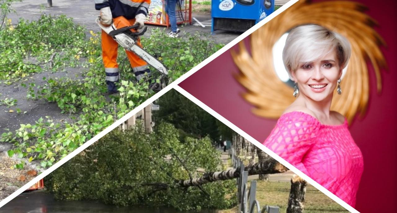 В Коми на женщину упало дерево и разбило ей голову