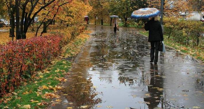 Синоптики рассказали каким будет сентябрь в Коми и Ухте