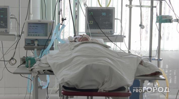 В Коми за последние сутки мучительной смертью погибло 5 невинных человек