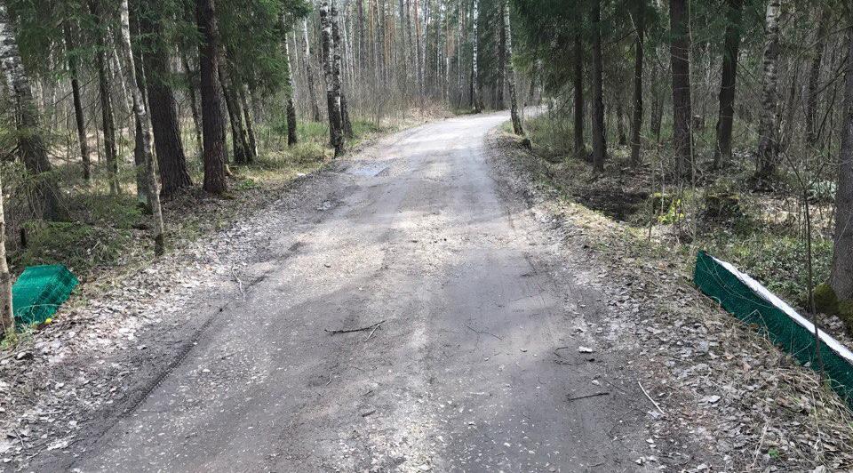 Из-за противопожарного режима пришлось закрывать дорогу от Ухты