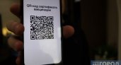 QR-коды предложили выдавать еще двум категориям граждан в России